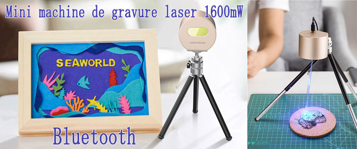 Mini machine de gravure laser 1600mW