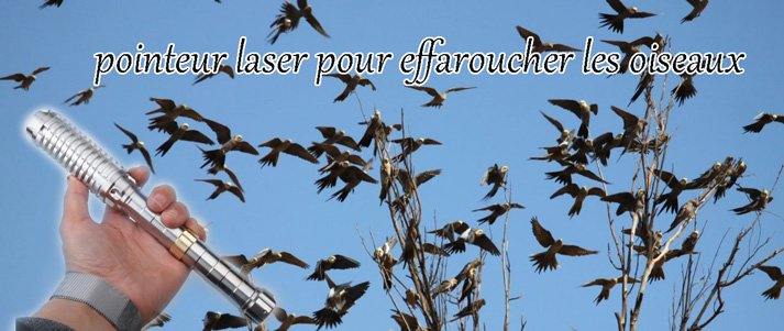 Pointeur laser pour effaroucher les oiseaux