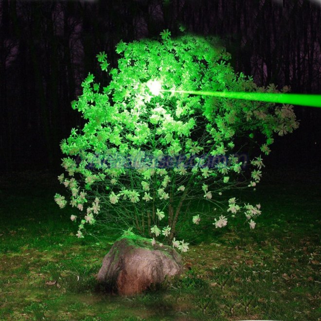 Laser vert 20mW puissant