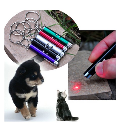 Acheter 5mw laser rouge pour Chat 