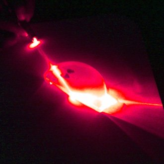 pointeur laser rouge 10000mw puissant a vendre