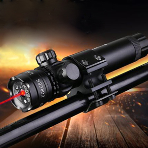 Mire laser pour carabine chez