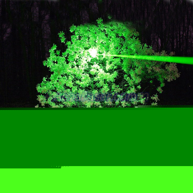laser pointeur vert 20000mW